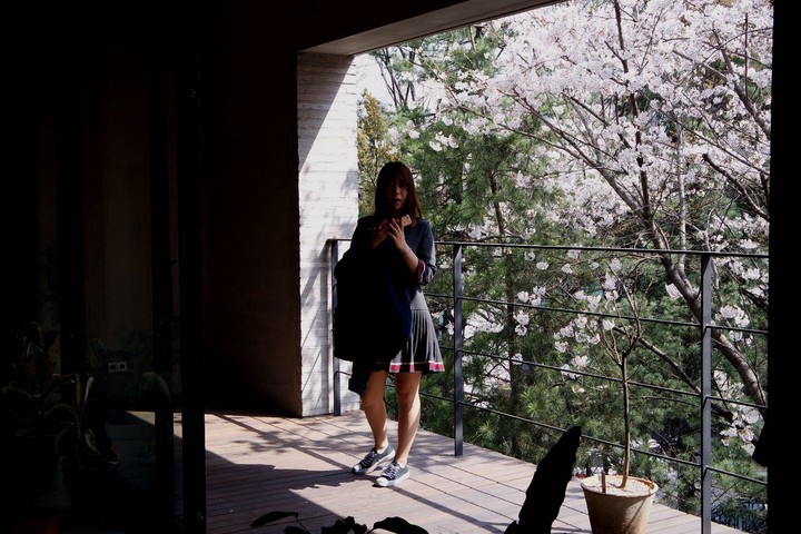 spring 봄