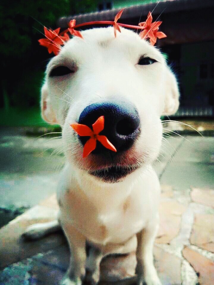 Oi!