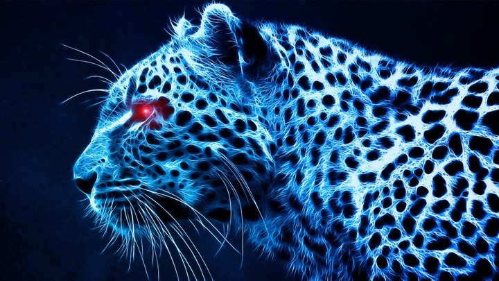 white tiger