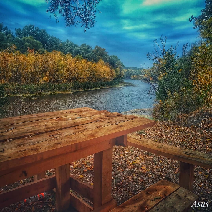 nature  morning