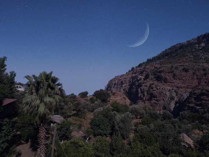 Summer Night ?