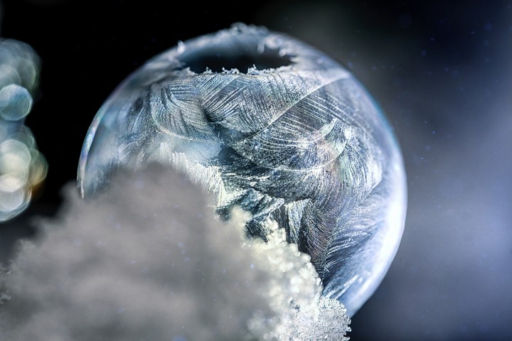 fragile Schönheit