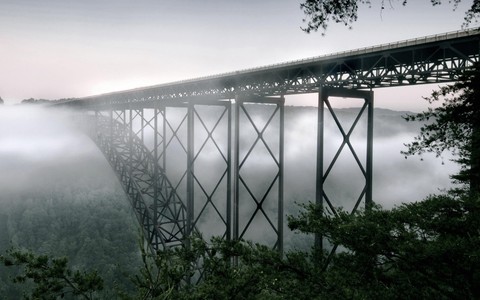 mist, morning Hintergrundbilder