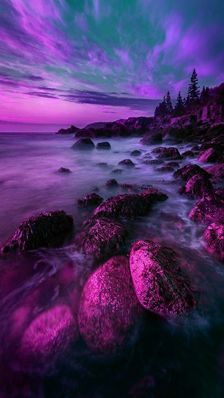 thie sea