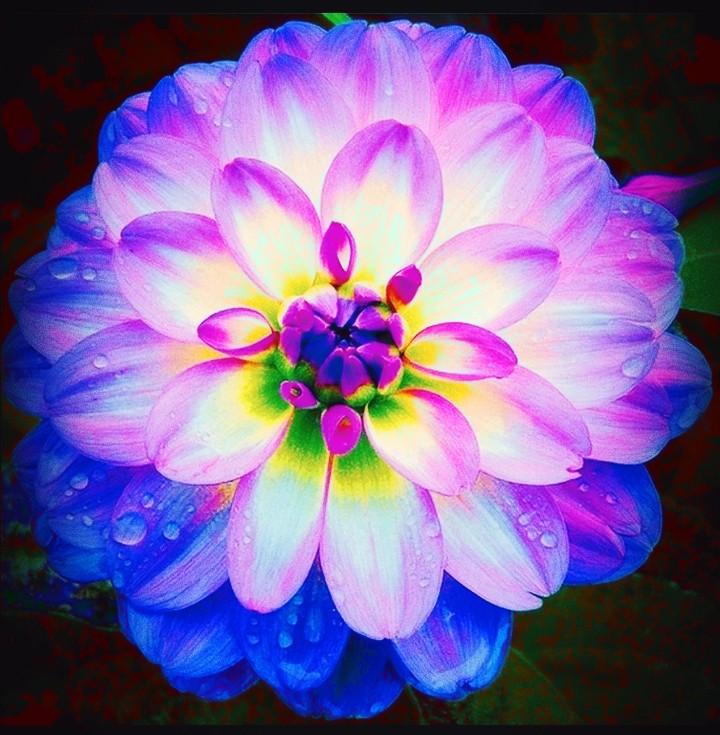 Raindrop