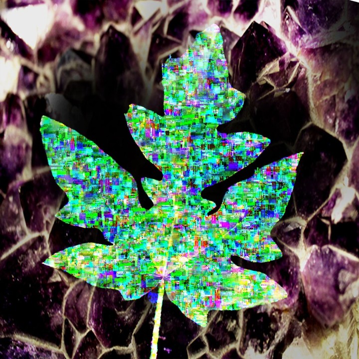 Digital leaf malfunction