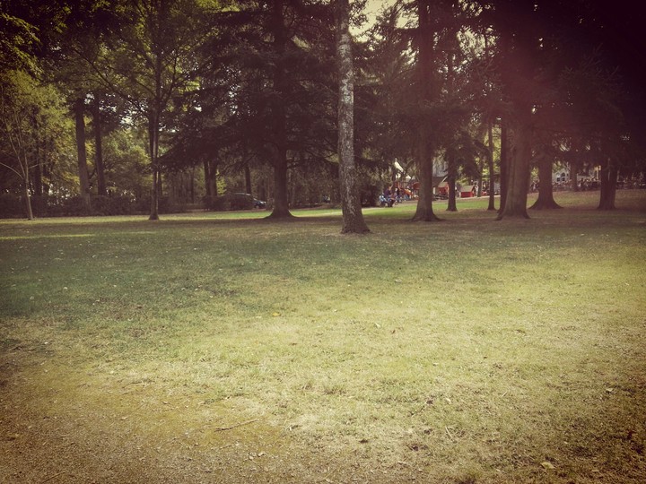 Les arbres