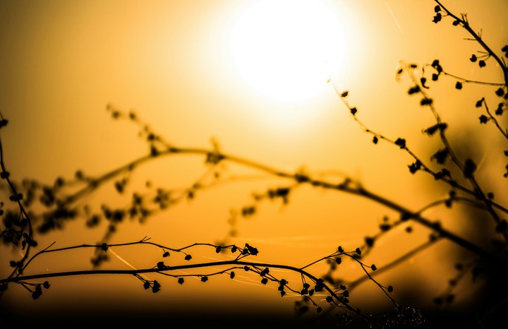 Silhouettes