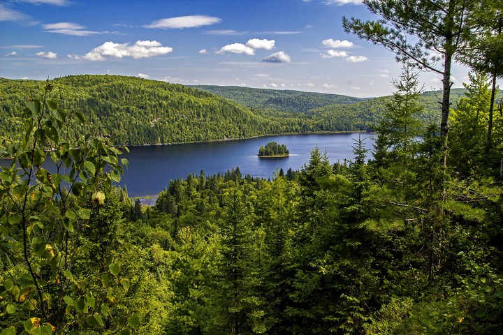 Beautiful Nature