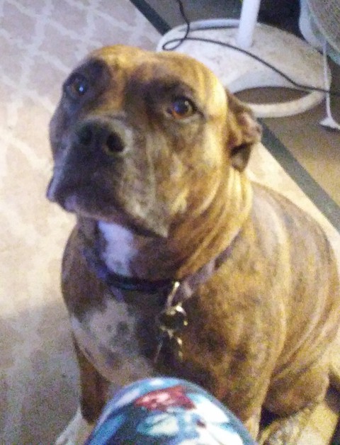 MARLEY