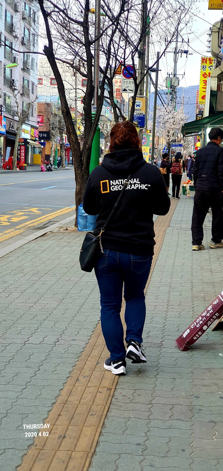 지오그레픽