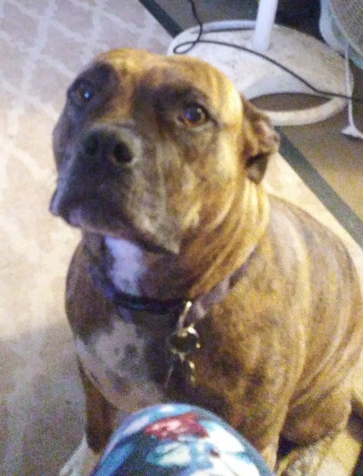MARLEY