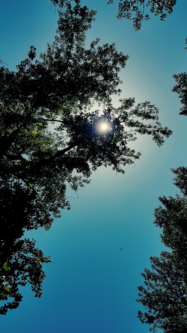 sky