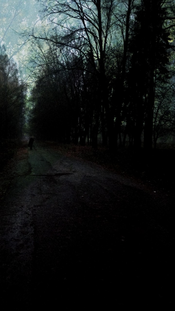 Returning home