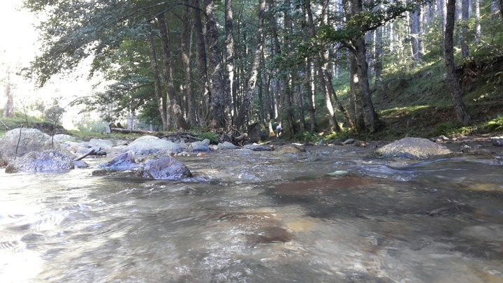 river