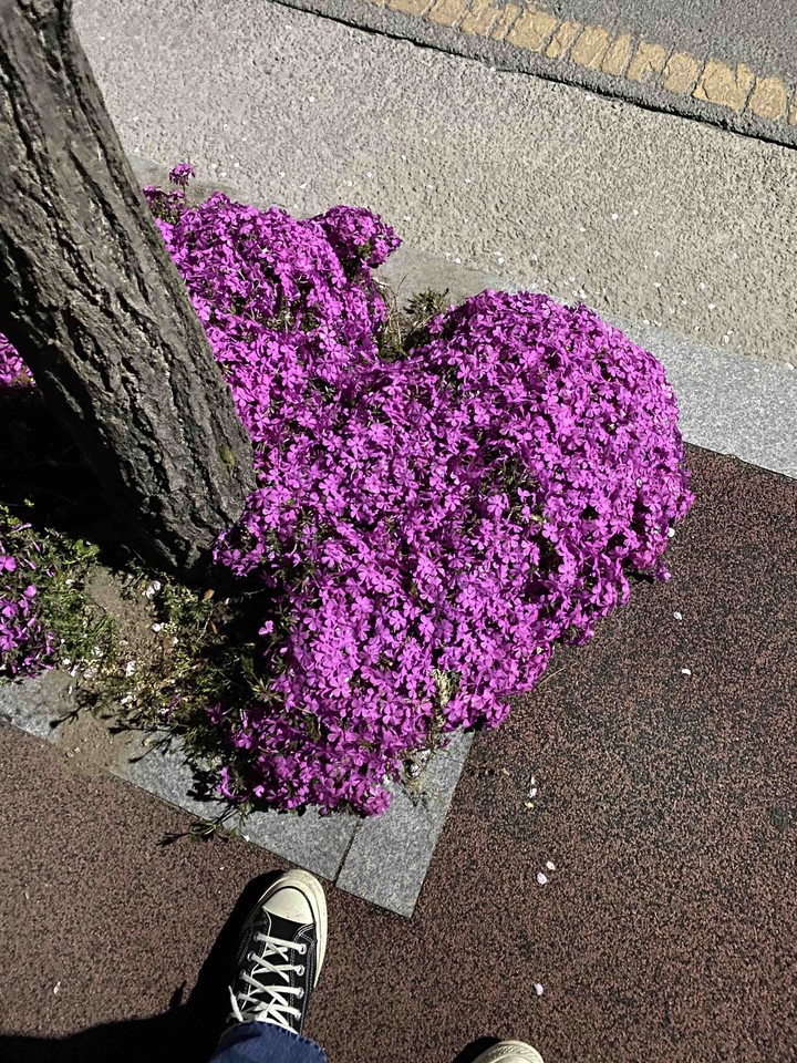 밤길
