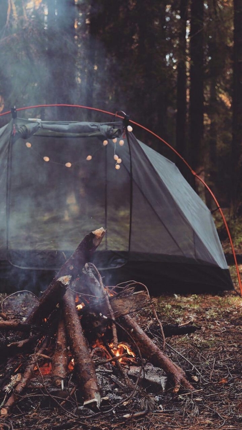 tarpaulin, jungle háttérképek