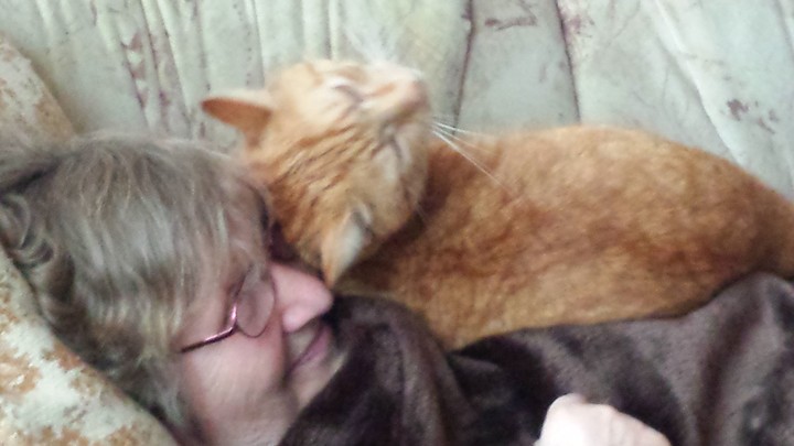 lol