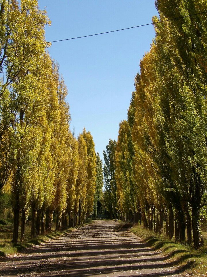 Paisajes de otoño 