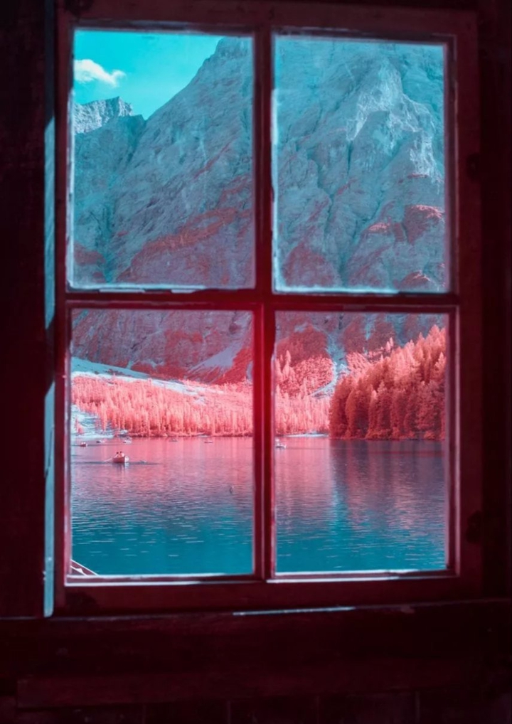 pink windows