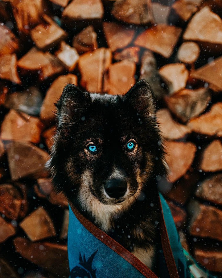 Blue eyes