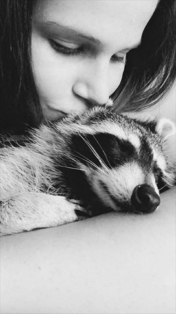 Love my pet raccoon