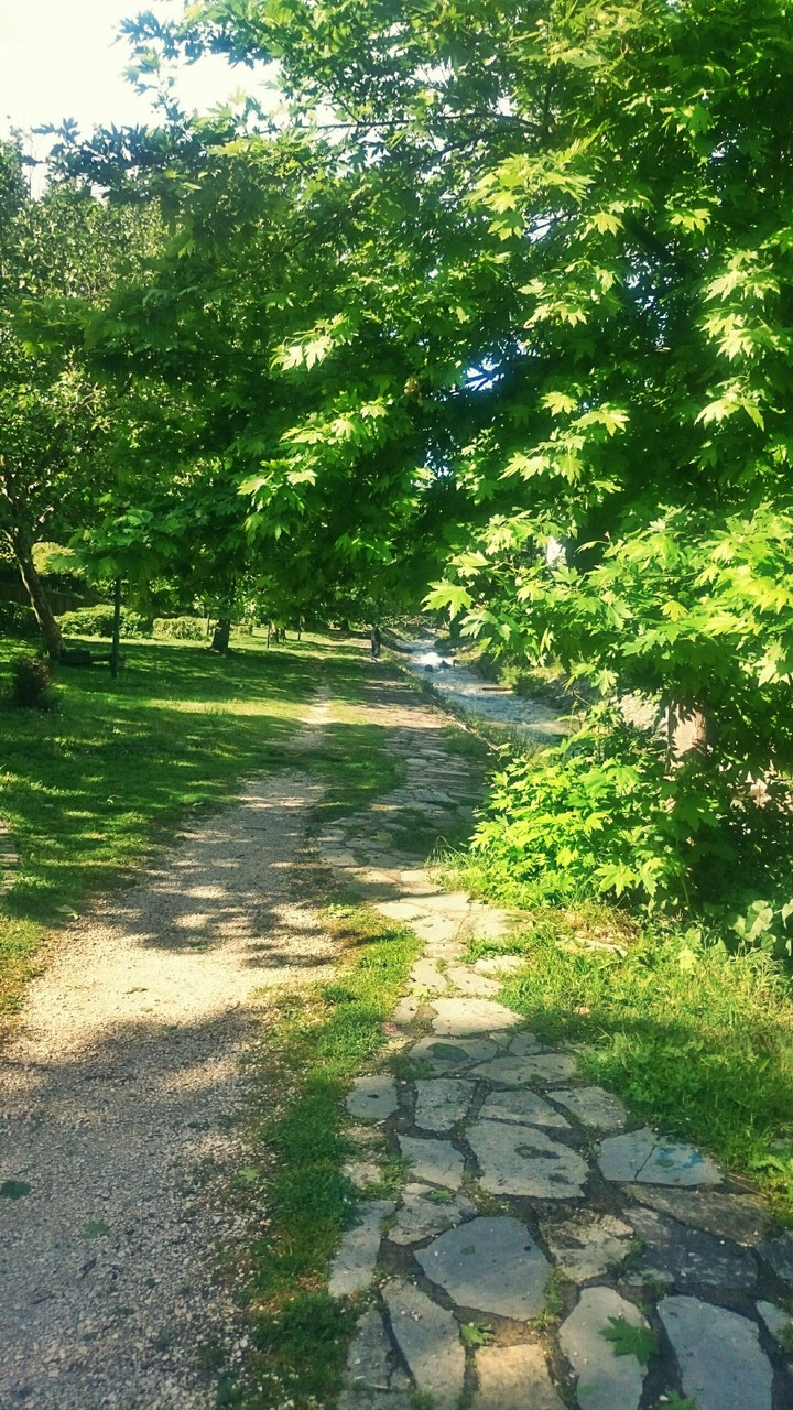 path