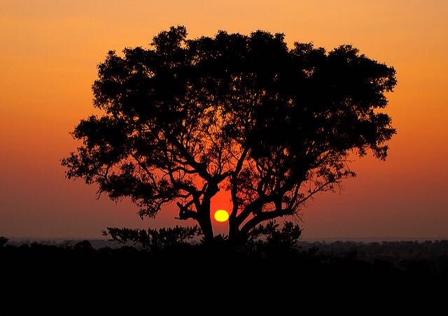 Africa