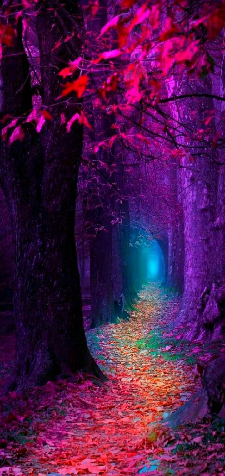 colourfull