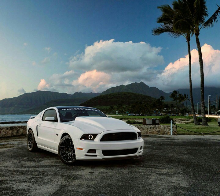 ford Mustang