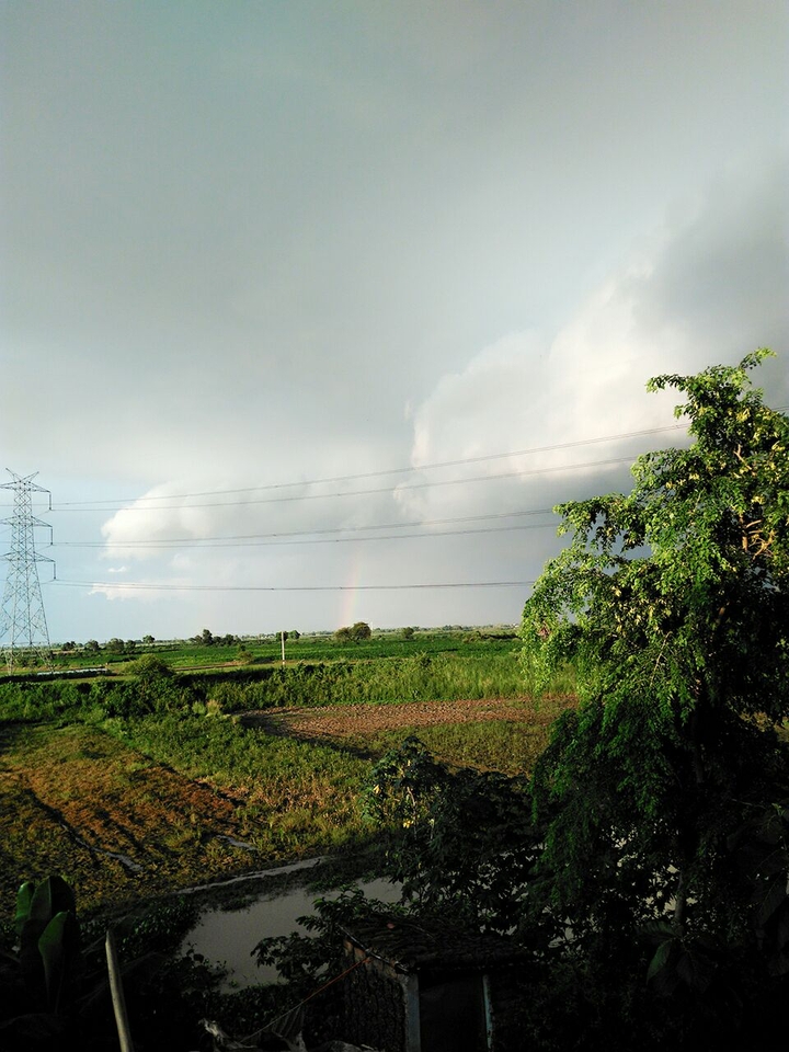 rahu
