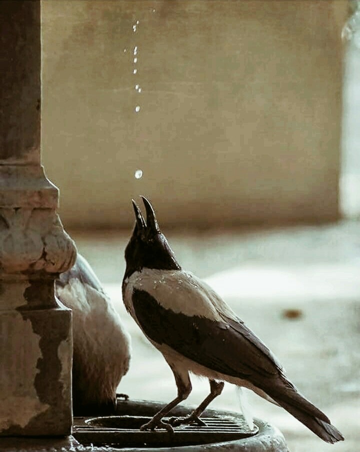 perfect click.