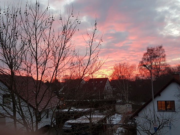 Rot der Welt