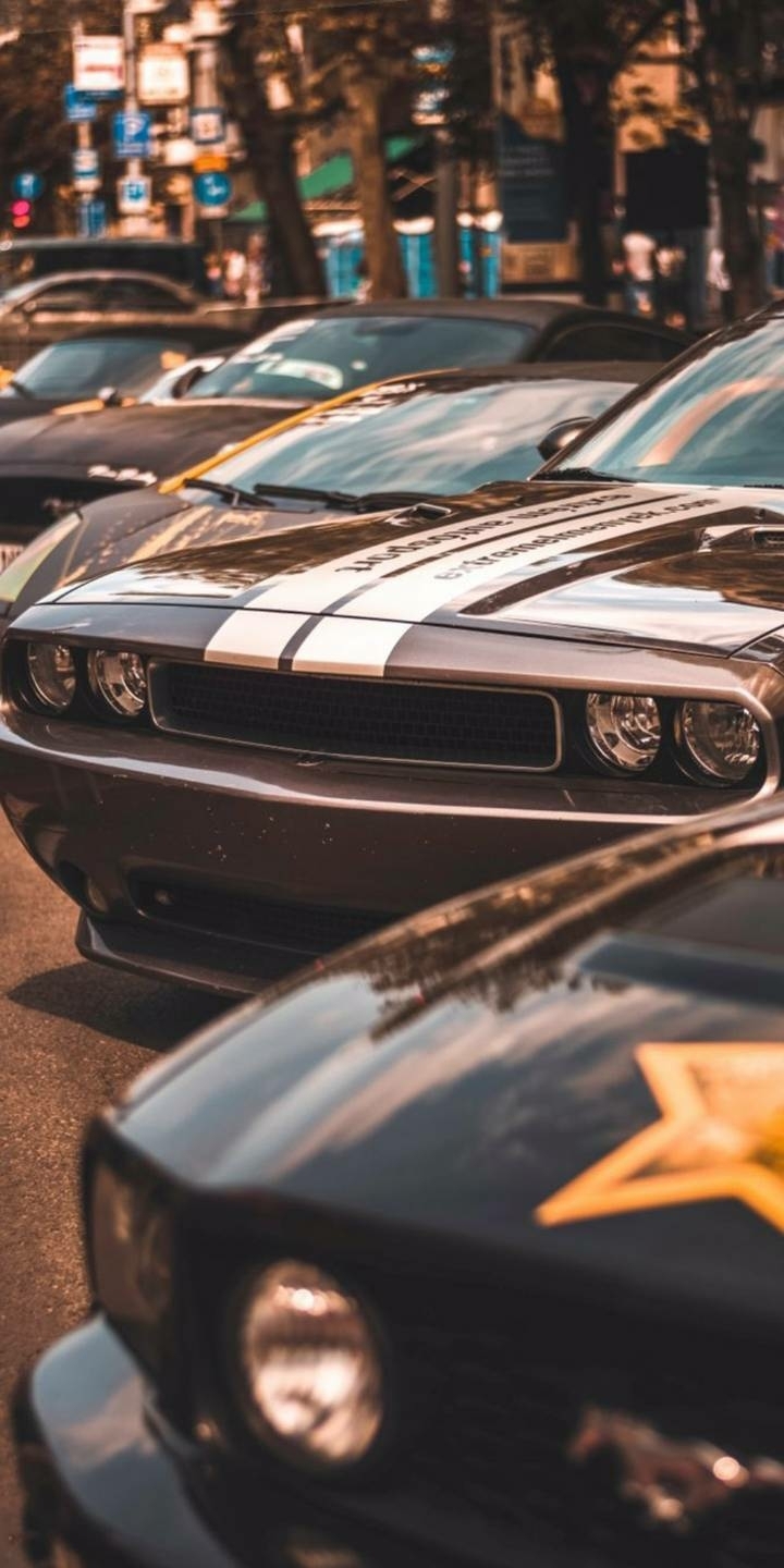 DODGE MUSTANG