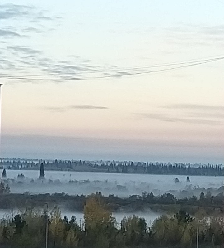 fog