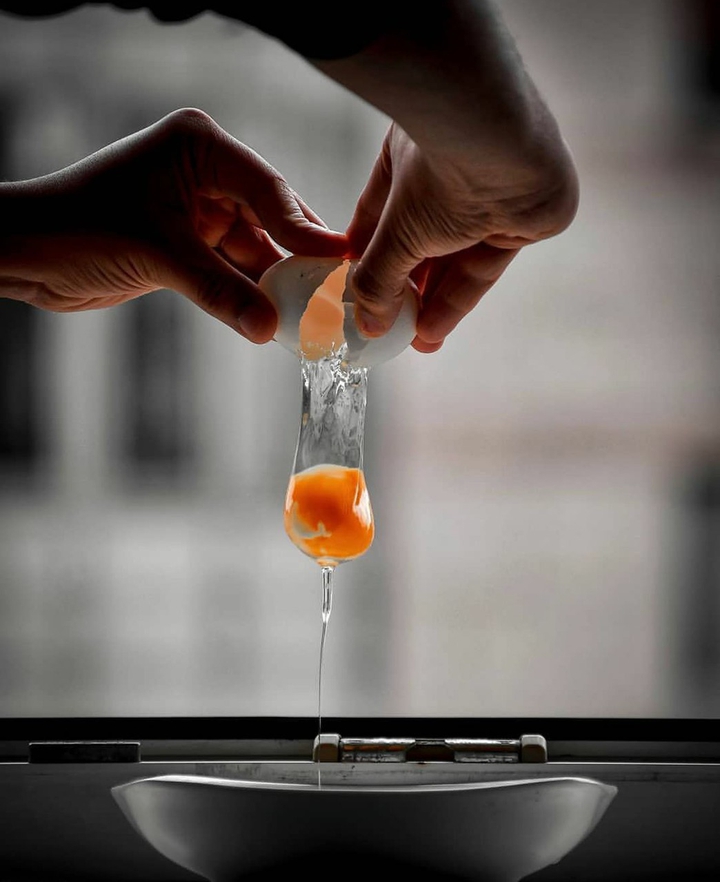 egg yolk
