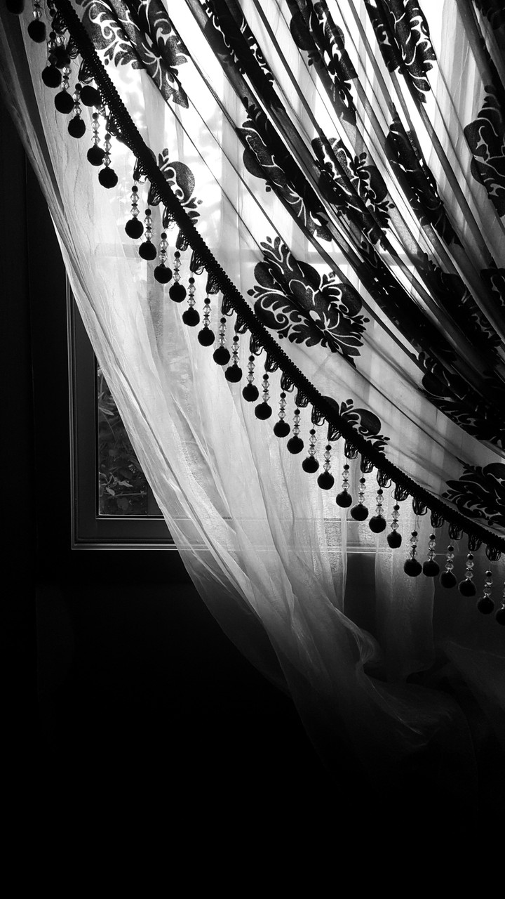 Window