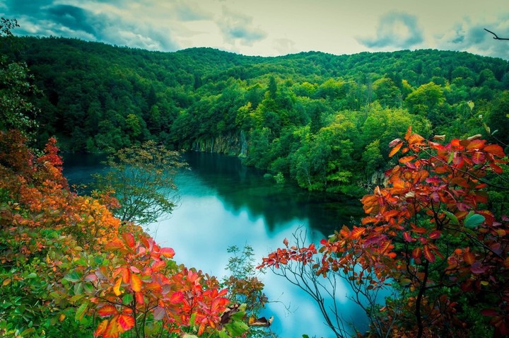 natureza