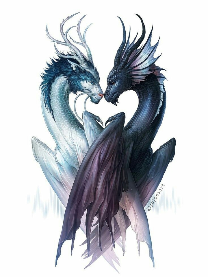 Dragon Love ❤