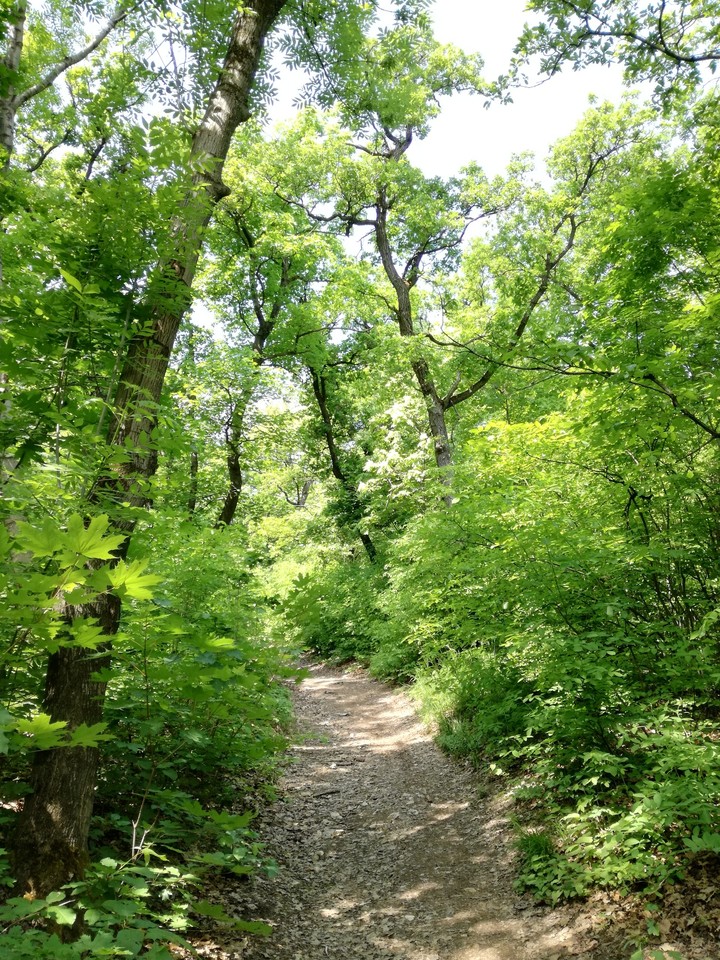 footpath