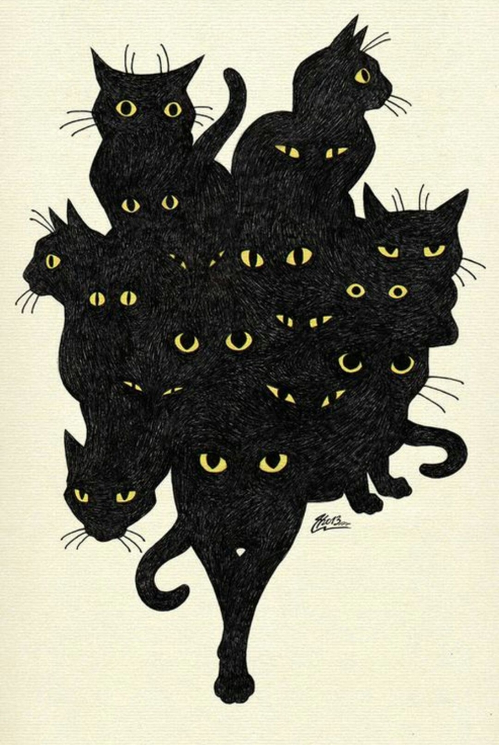CAT!!