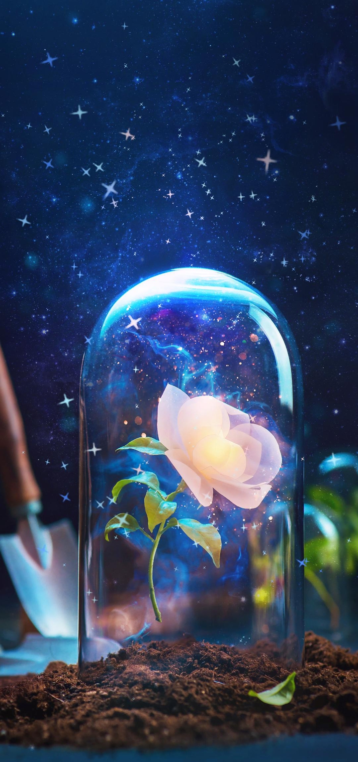 Magic