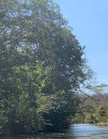 natureza perfeita,Cuiabá MT