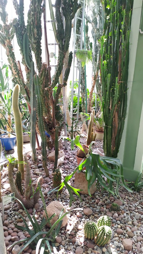 nature, trunk壁紙