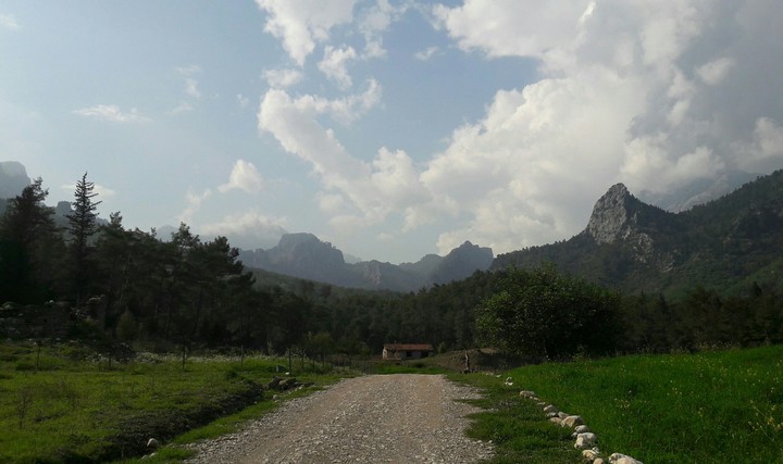 Mountain