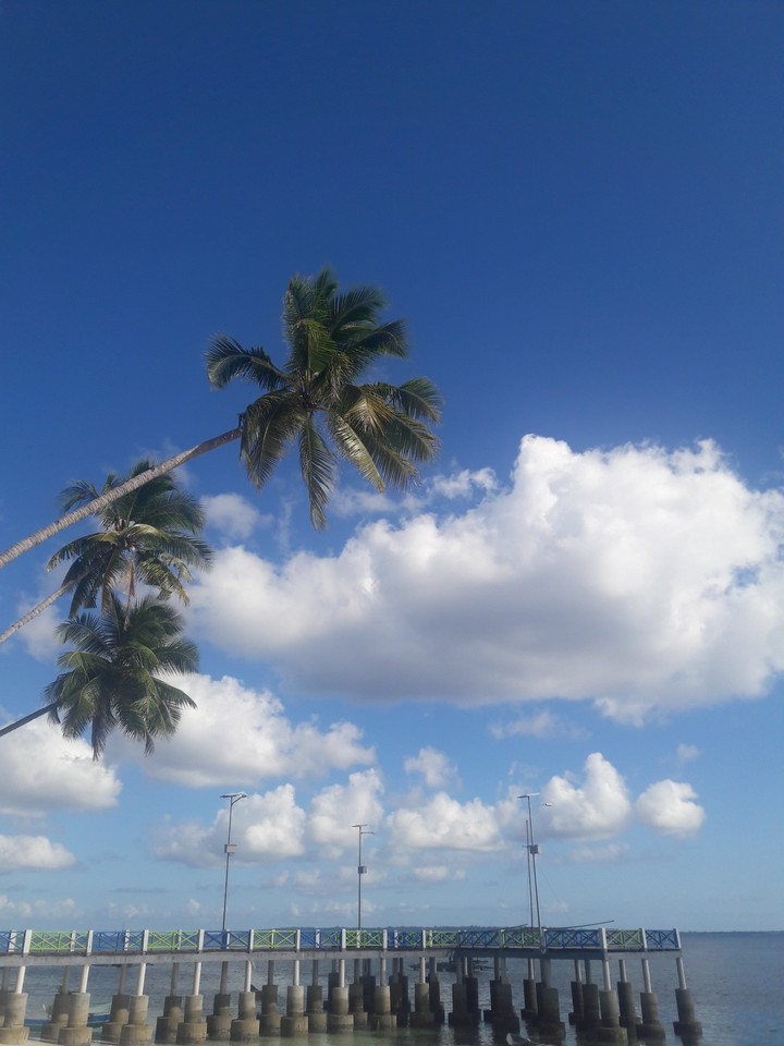 The beach