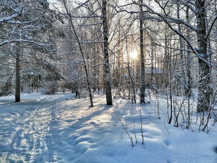 Зима 2018