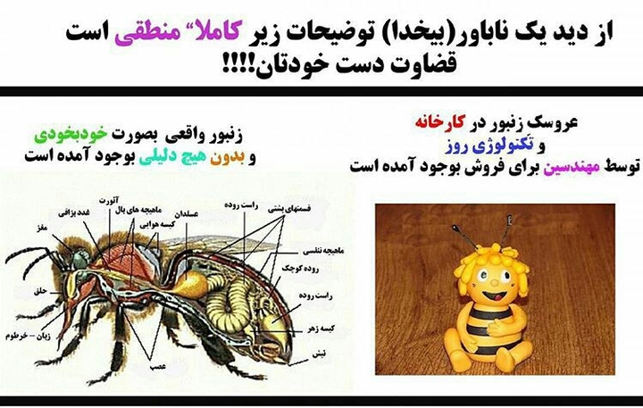 منطق نا خدا باوران