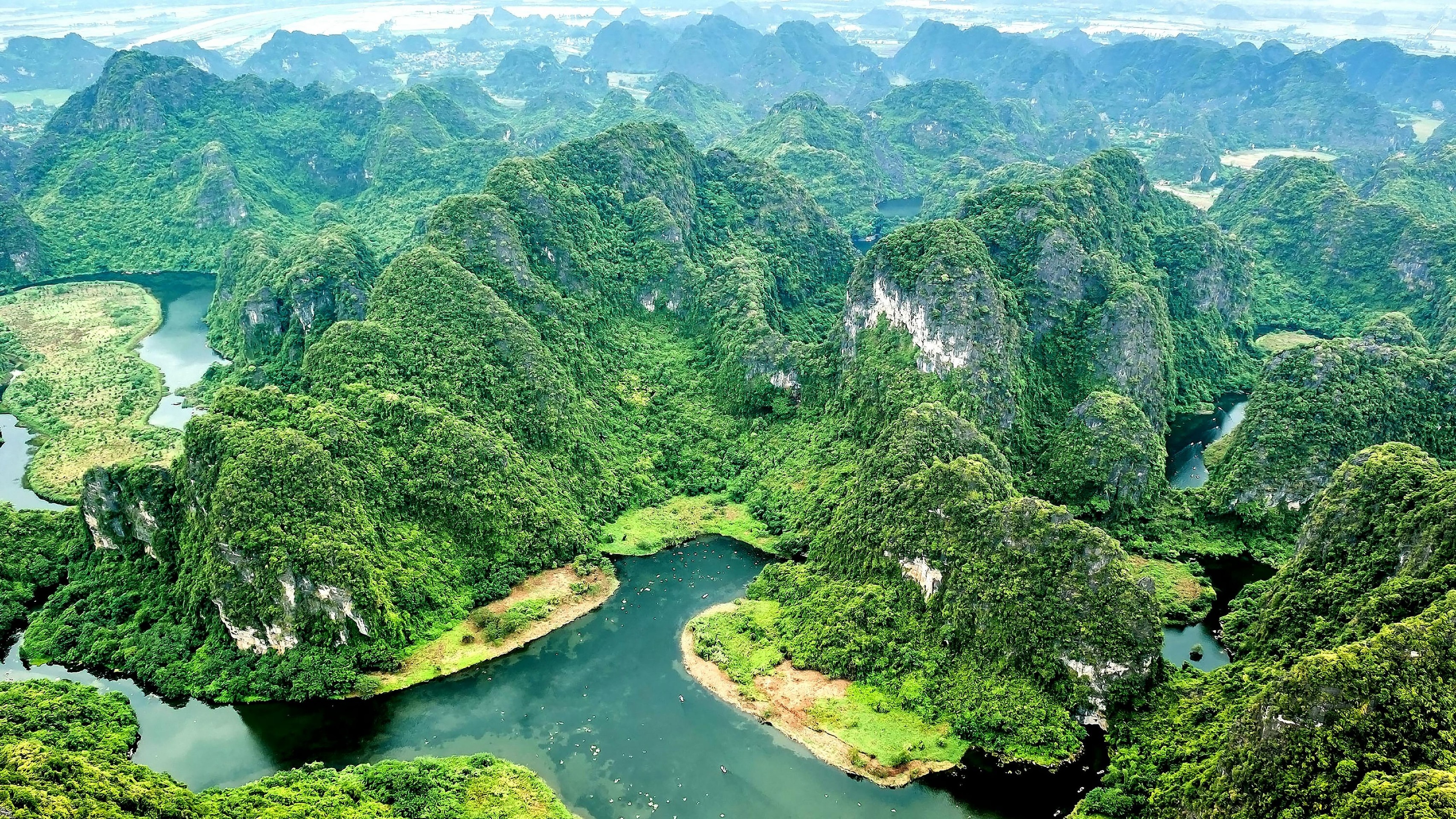 тапети rainforest, jungle