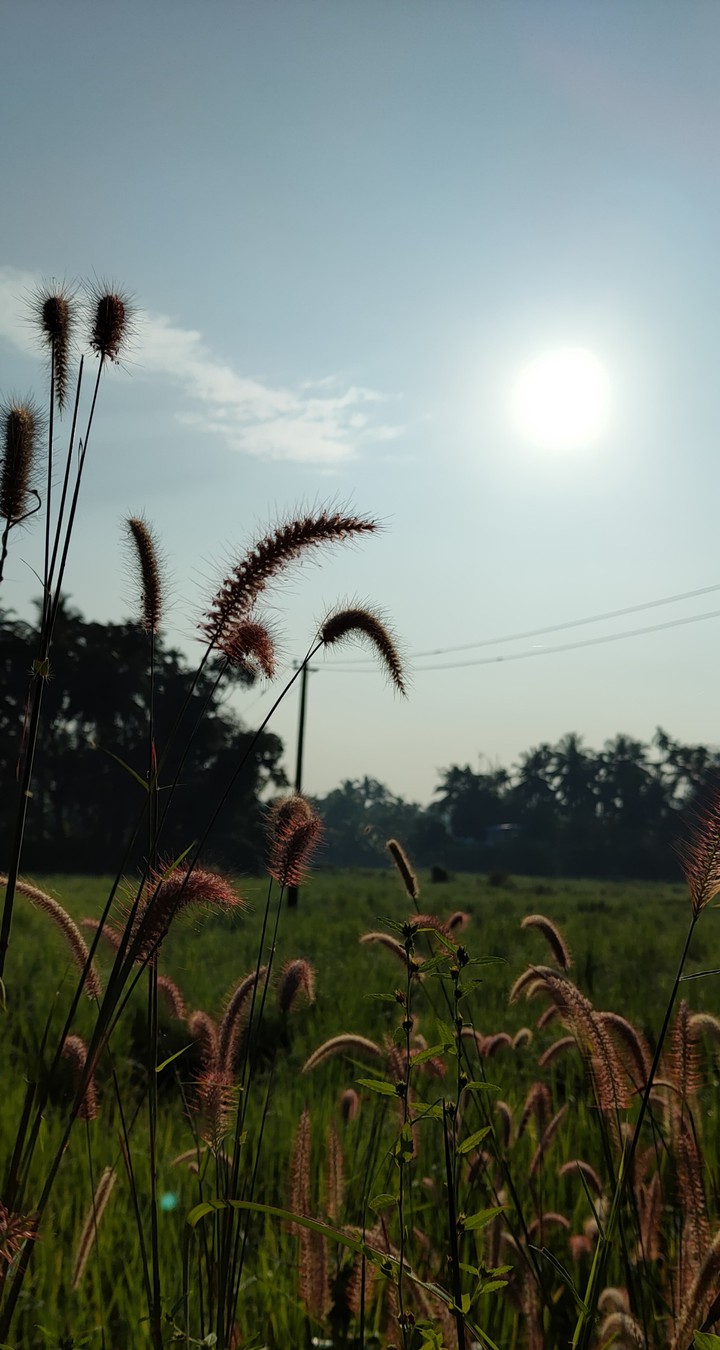 the beautiful sunrise